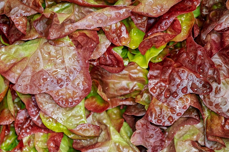 Food Trends